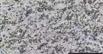 钦州 芙蓉白（芝麻白大花）火烧面