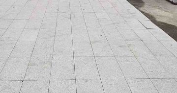 钦州芝麻白地铺案例