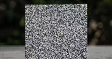 钦州 芝麻黑荔枝面