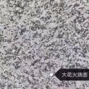 钦州 芙蓉白（芝麻白大花）火烧面