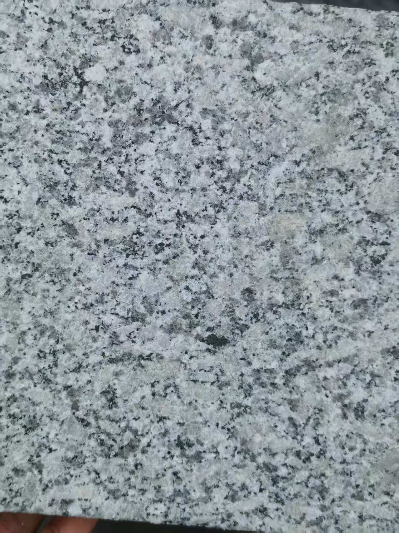 钦州 芙蓉白火烧面