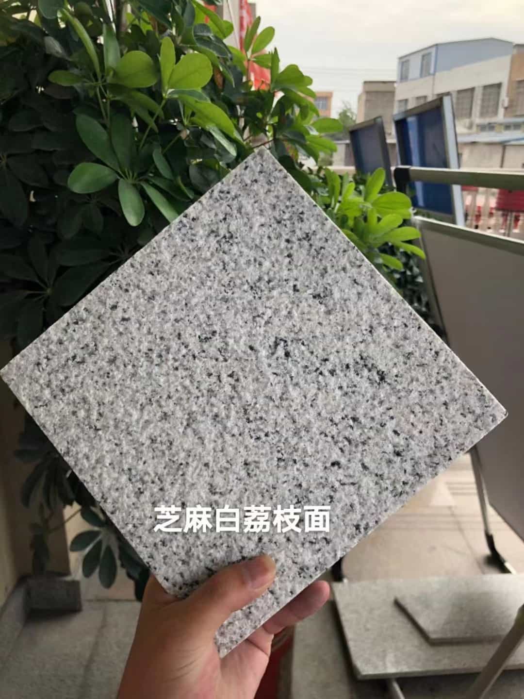 钦州 芝麻白荔枝面干挂