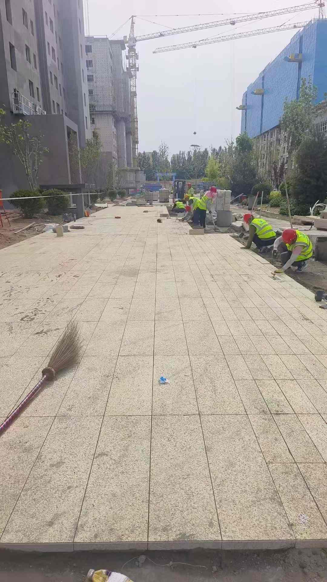 钦州黄金麻荔枝面地铺案例